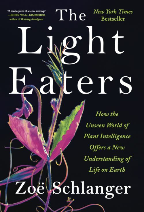 The Light Eaters